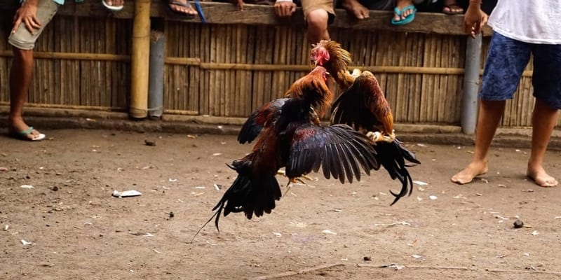 Chương trình khuyến mãi siêu khủng cho mọi thành viên